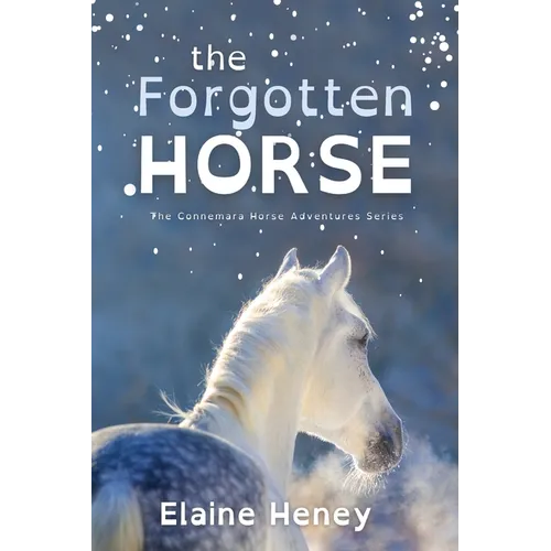 The Forgotten Horse - Dyslexia Friendly - Paperback