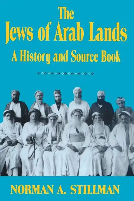 The Jews of Arab Lands: A History and Source Book - Paperback