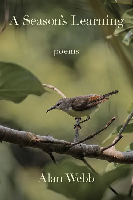 A Season's Learning - Paperback