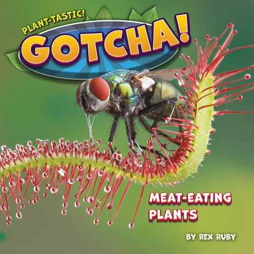 Gotcha! - Paperback