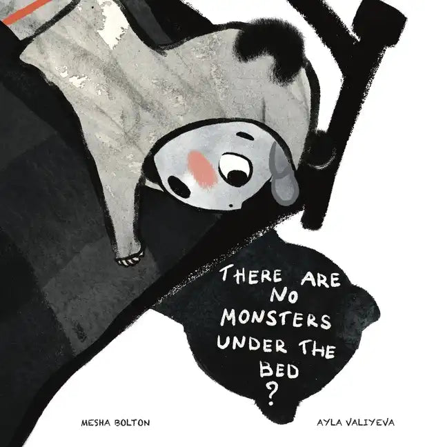 There Are No Monsters Under The Bed? - Hardcover