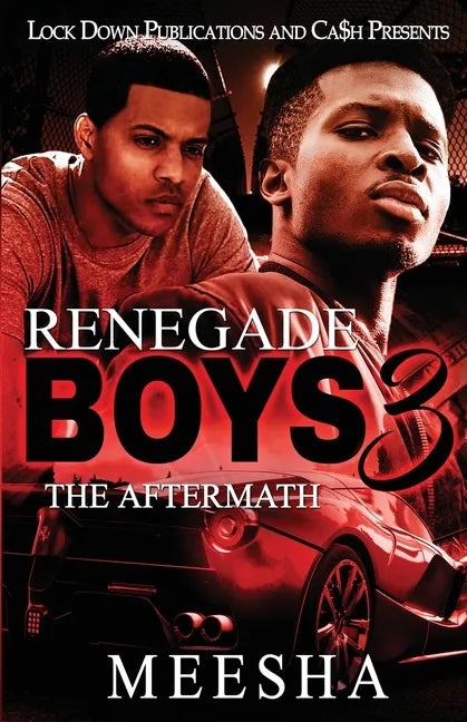 Renegade Boys 3: The Aftermath - Paperback