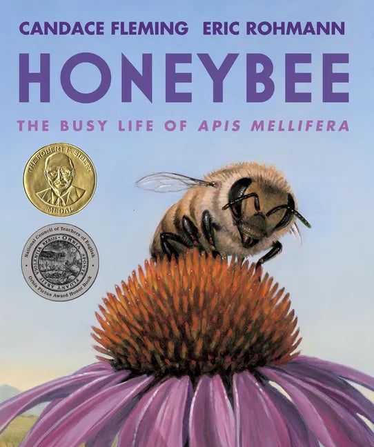 Honeybee: The Busy Life of APIs Mellifera - Paperback
