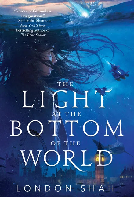 The Light at the Bottom of the World - Paperback