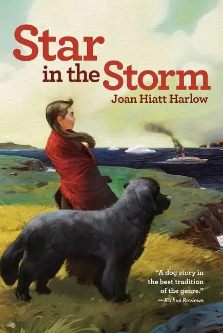 Star in the Storm - Paperback