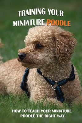 Training Your Miniature Poodle: How To Teach Your Miniature Poodle The Right Way: Basic Training For Miniature Poodle Breed - Paperback