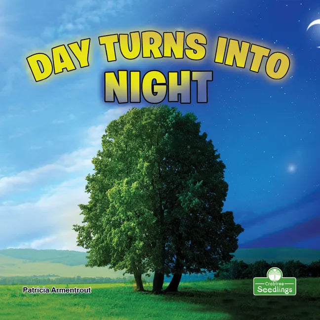 Day Turns Into Night - Paperback