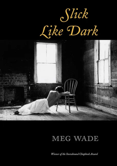Slick Like Dark - Paperback