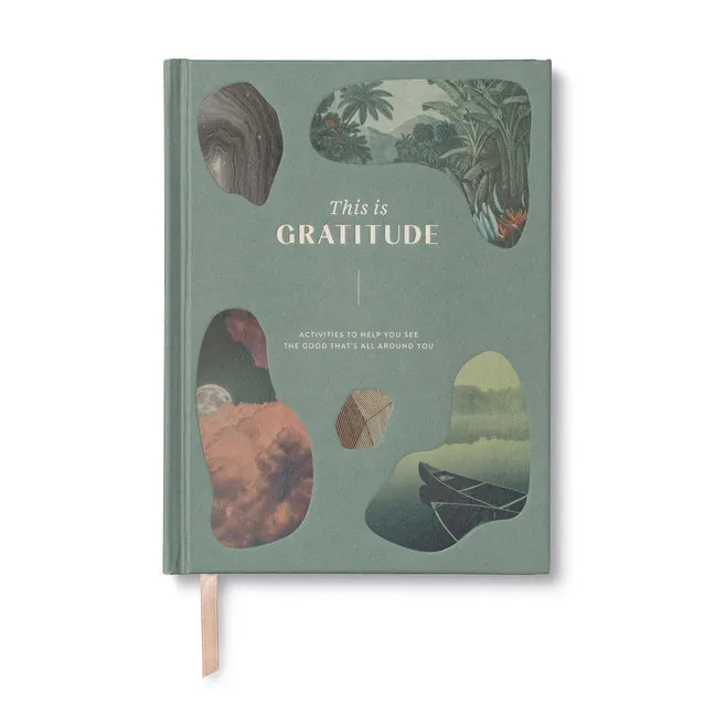 This Is Gratitude: Activities to Help You See the Good That's All Around You - Hardcover
