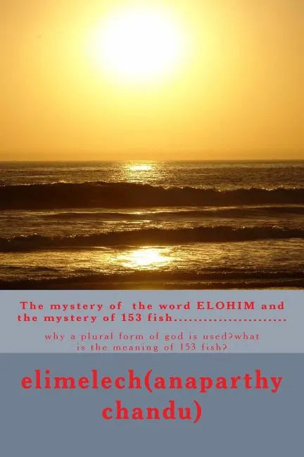 The mystery of 153 fish: 153 fish - Paperback