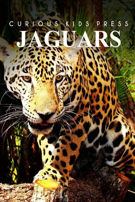 Jaguars - Curious Kids Press - Paperback
