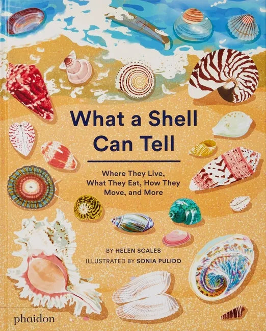 What a Shell Can Tell - Hardcover