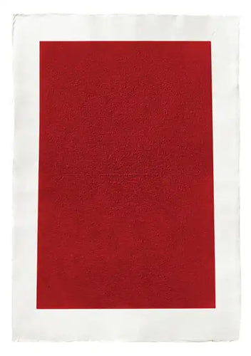 Kees Visser: Monochromes - Paperback