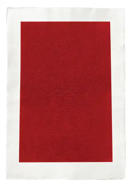 Kees Visser: Monochromes - Paperback