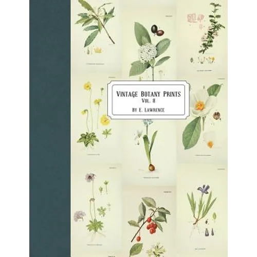 Vintage Botany Prints: Vol. 8 - Paperback