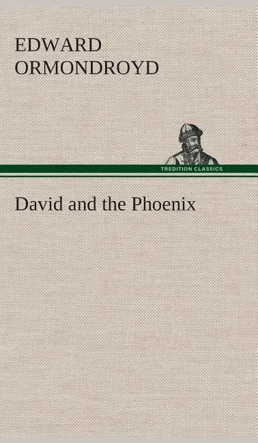 David and the Phoenix - Hardcover