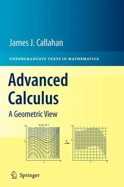 Advanced Calculus: A Geometric View - Hardcover