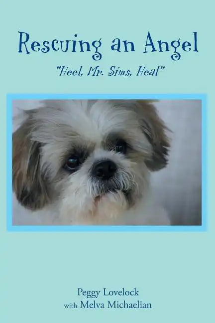 Rescuing an Angel: 