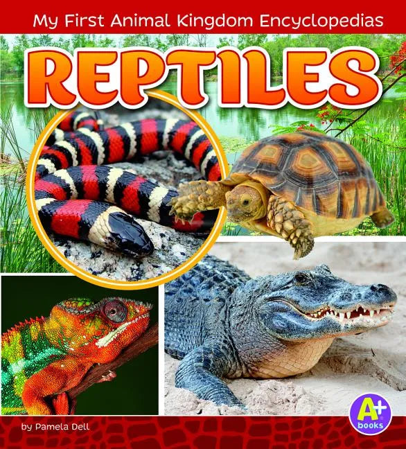 Reptiles - Paperback