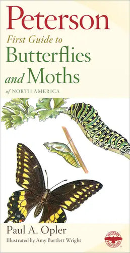 Peterson First Guide to Butterflies and Moths - Paperback