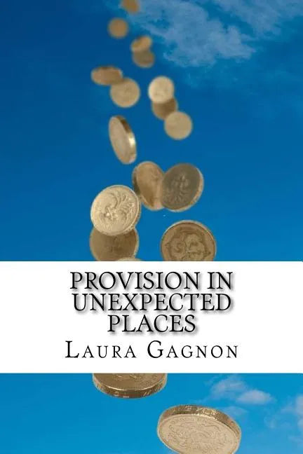 Provision in Unexpected Places - Paperback