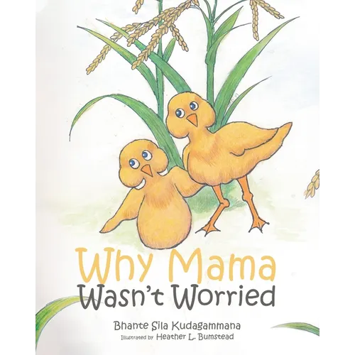 Why Mama Wasn't Worried - Paperback
