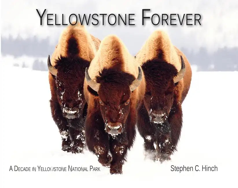 Yellowstone Forever: A Decade in Yellowstone National Park - Paperback