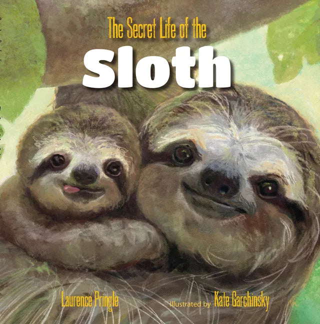 The Secret Life of the Sloth - Hardcover