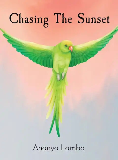 Chasing The Sunset - Hardcover