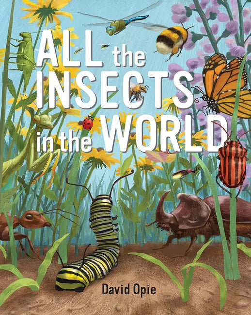 All the Insects in the World - Hardcover