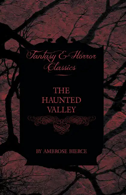 The Haunted Valley - Paperback