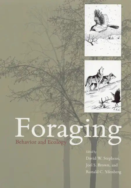 Foraging: Behavior and Ecology - Paperback