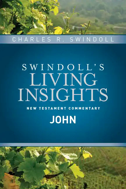 Insights on John - Hardcover