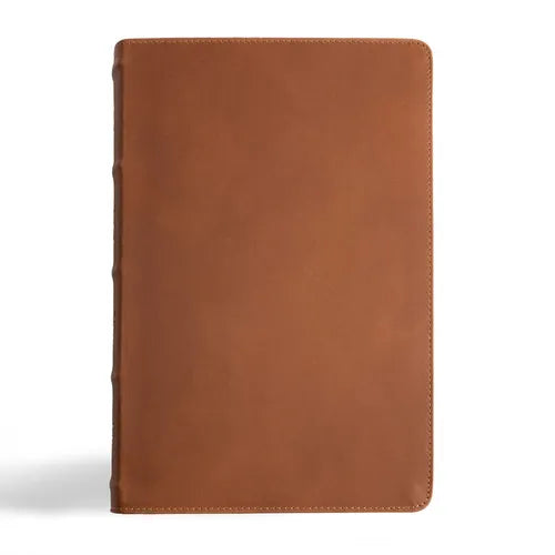 CSB Men's Daily Bible, Brown Genuine Leather, Indexed - Leather