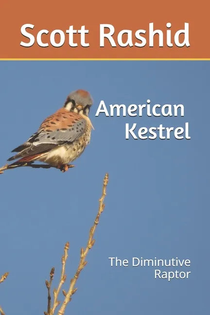 The American Kestrel: The Diminutive Raptor - Paperback