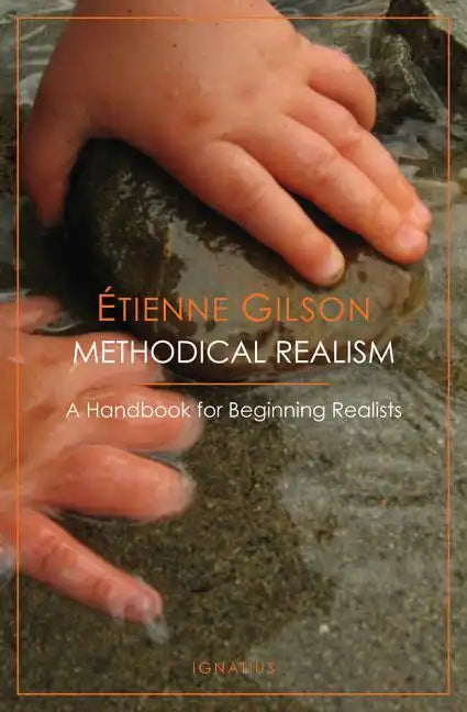 Methodical Realism: A Handbook for Beginning Realists - Paperback