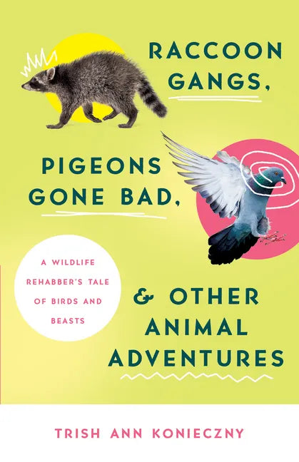 Raccoon Gangs, Pigeons Gone Bad, and Other Animal Adventures: A Wildlife Rehabber's Tale of Birds and Beasts - Paperback