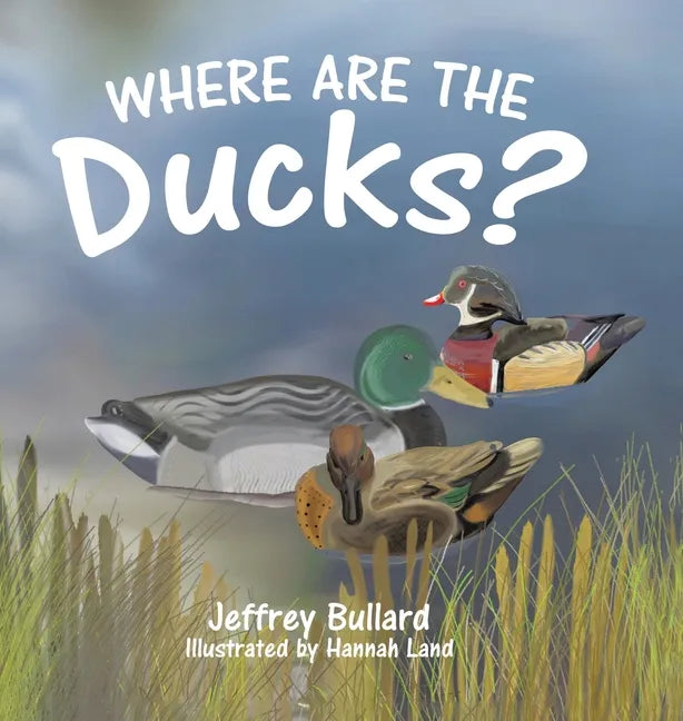 Where Are the Ducks? - Hardcover