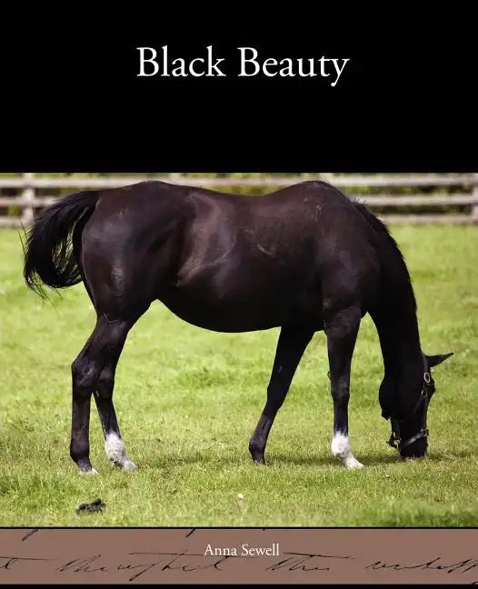 Black Beauty - Paperback