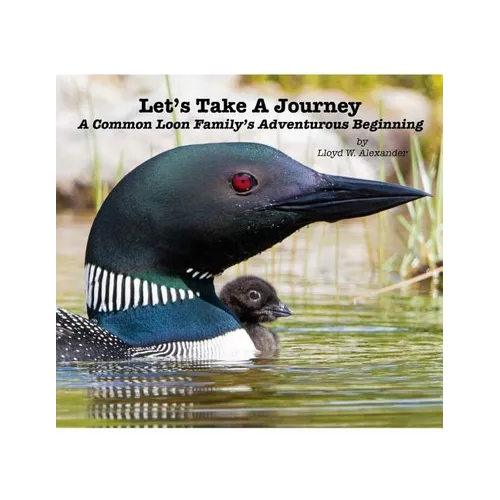 Let's Take A Journey: A Common Loon Family's Adventurous Beginning - Paperback