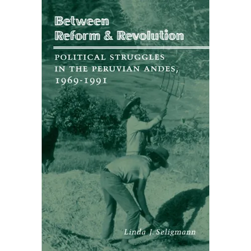 Between Reform and Revolution: Political Struggles in the Peruvian Andes, 1969-1991 - Paperback