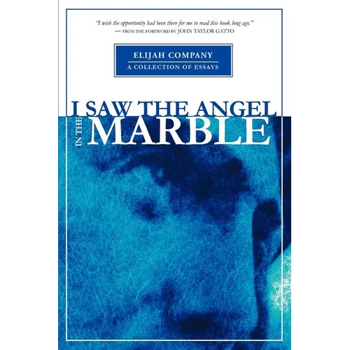 I Saw the Angel in the Marble - Paperback