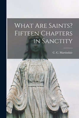 What Are Saints? Fifteen Chapters in Sanctity - Paperback