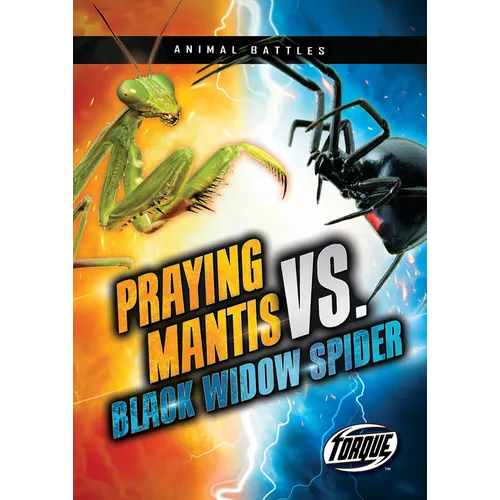Praying Mantis vs. Black Widow Spider - Paperback