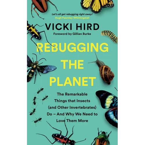Rebugging the Planet: The Remarkable Things That Insects (and Other Invertebrates) Do and Why We Need to Love Them More - Paperback