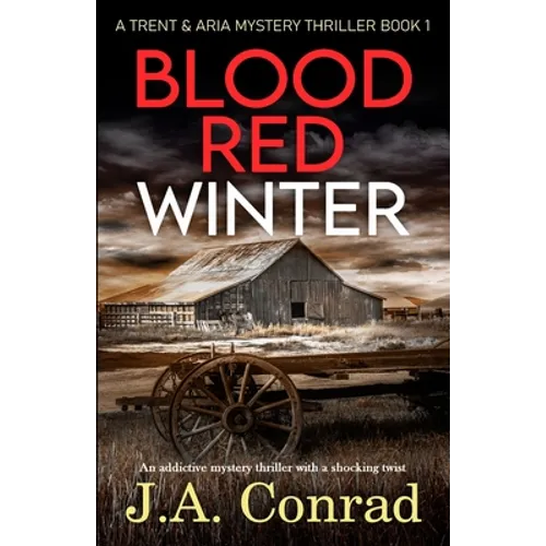 Blood Red Winter: An addictive mystery thriller with a shocking twist - Paperback