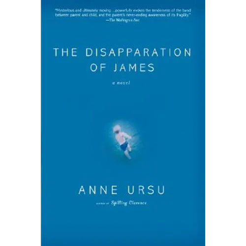 The Disapparation of James - Hardcover