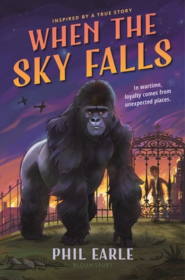 When the Sky Falls - Hardcover