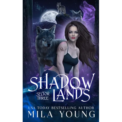 Shadowlands Sector Three - Paperback