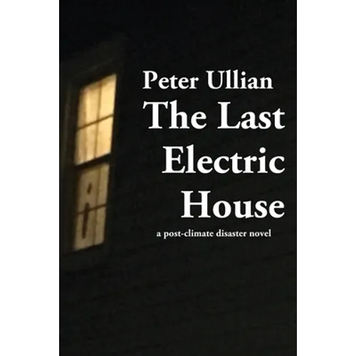 The Last Electric House: a post-climate disaster novel - Paperback